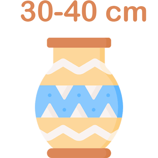 vace-30-40