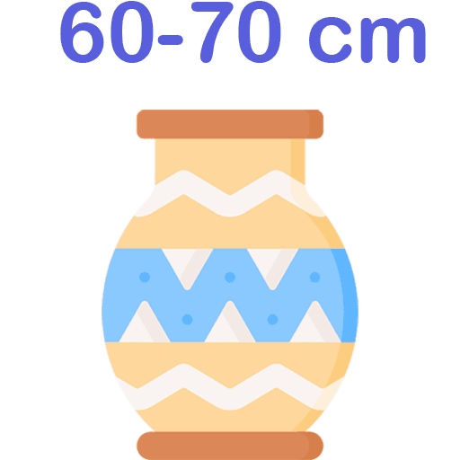 vace-60-70