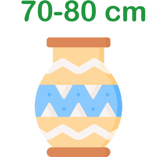 vace-70-80